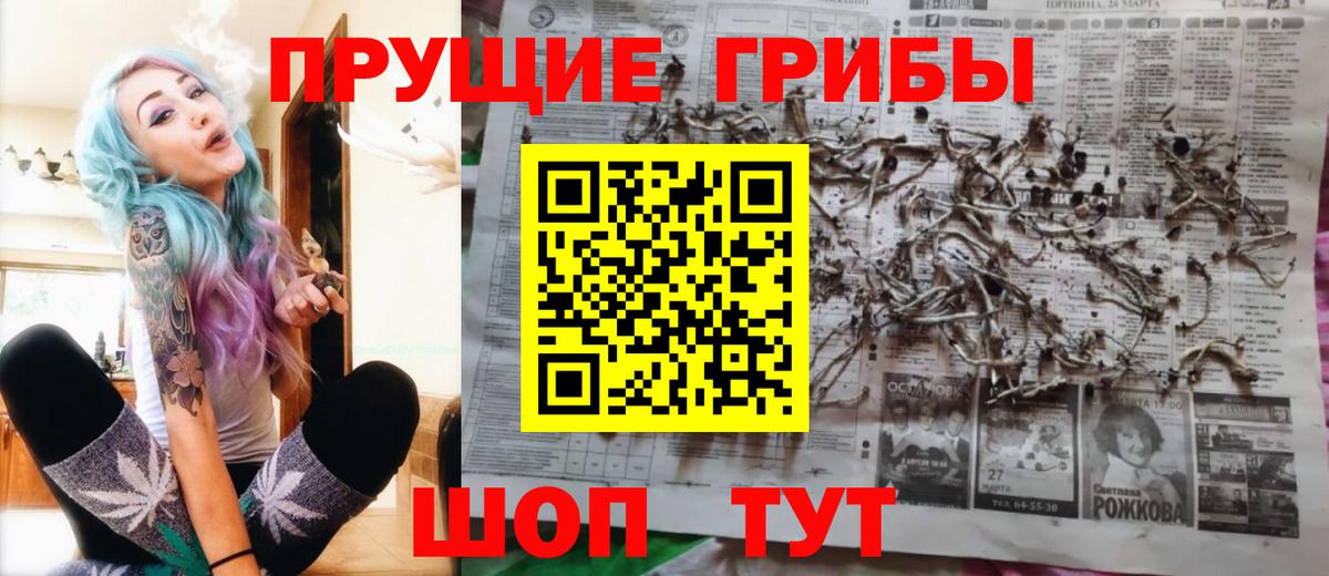 Псилоцибиновые грибы мицелий Зима