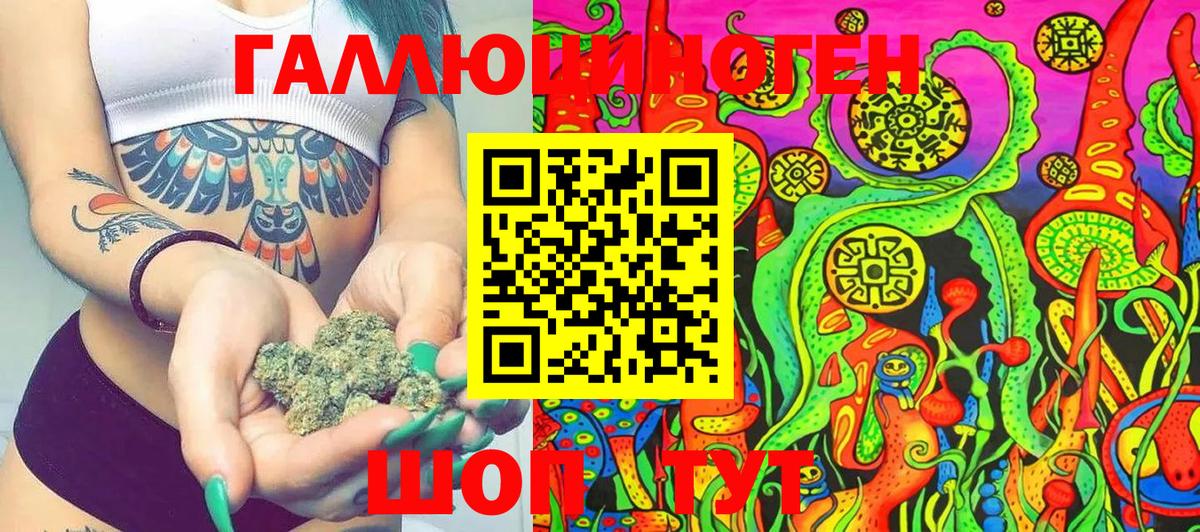 Псилоцибиновые грибы MAGIC MUSHROOMS  Вход с VPN  Зима 